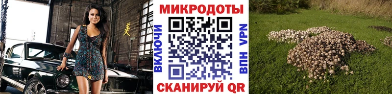 Псилоцибиновые грибы Cubensis  Кириши 